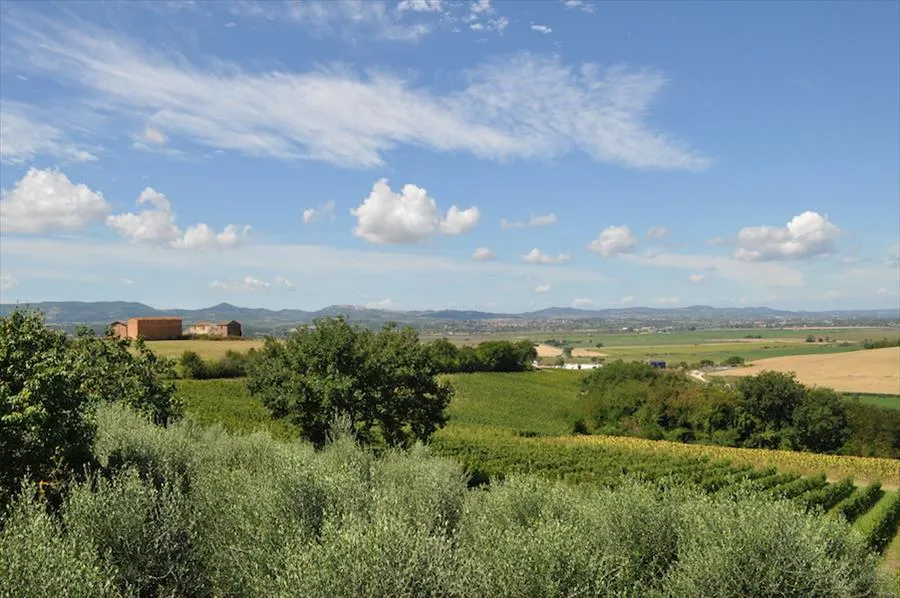 Casa indipendente in vendita a Castiglione del Lago - foto 2