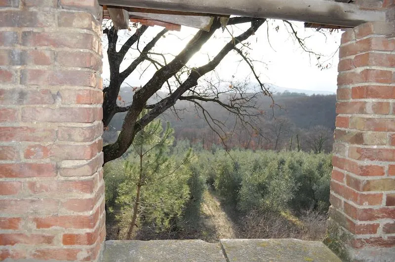 Rustico in vendita a Chiusi - foto 8