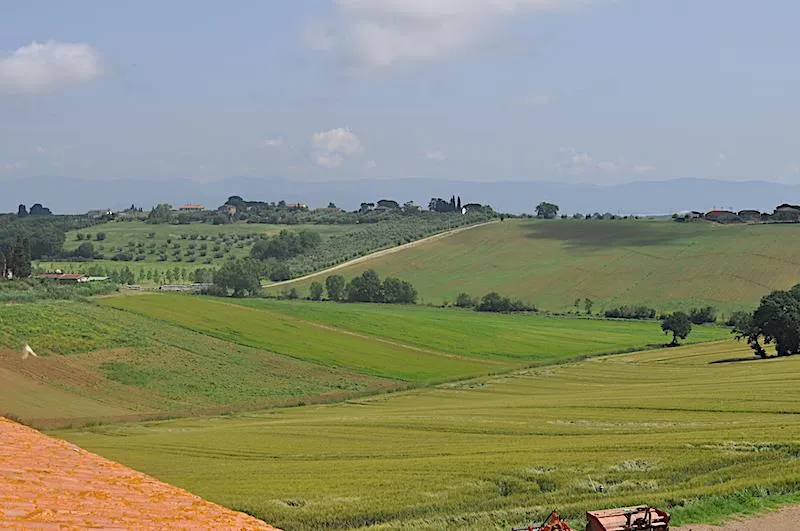 Rustico in vendita a Castiglione del Lago - foto 6