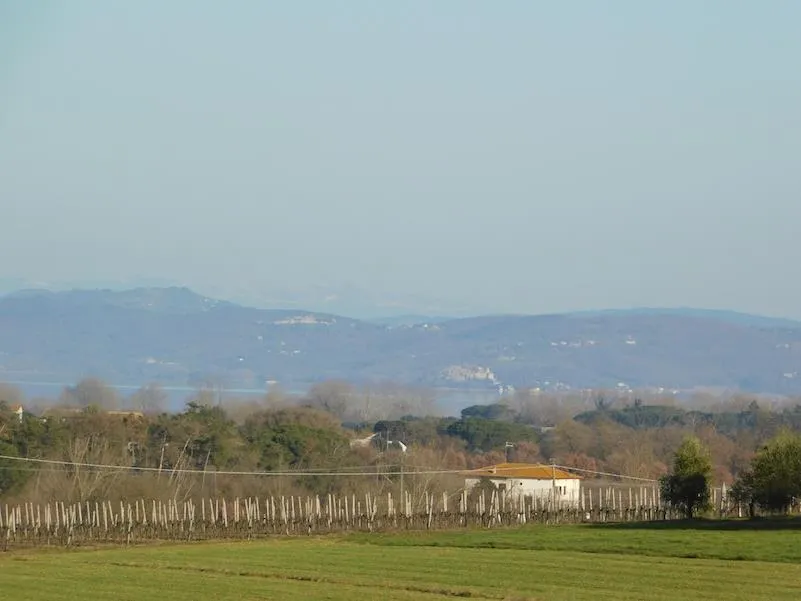 Rustico in vendita a Castiglione del Lago - foto 10