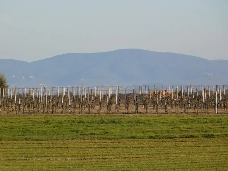 Rustico in vendita a Castiglione del Lago - foto 8