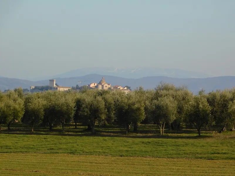 Rustico in vendita a Castiglione del Lago - foto 9