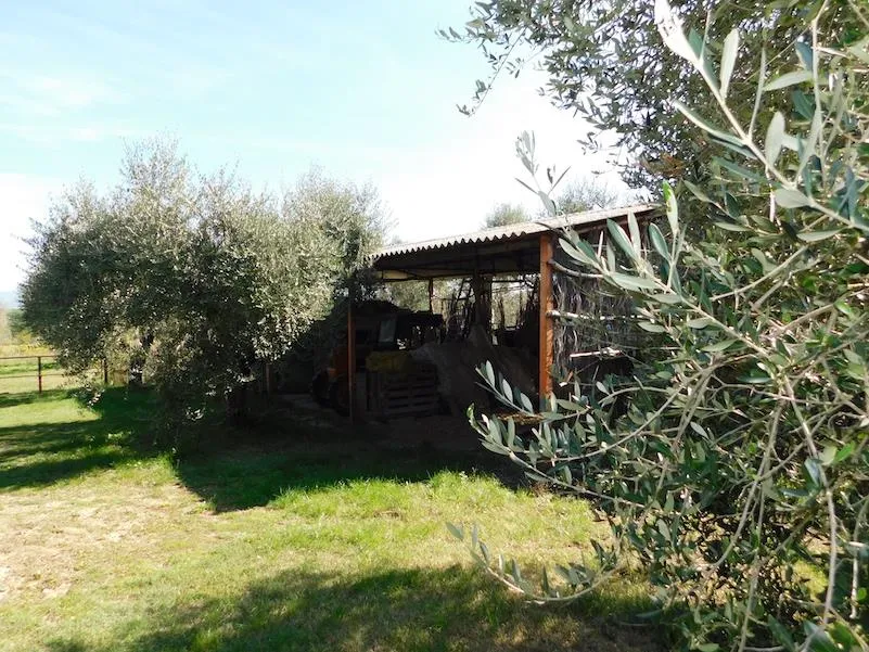 Casa indipendente in vendita a Castiglione del Lago - foto 8