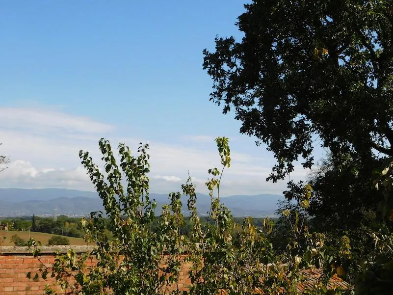 Casa indipendente in vendita a Castiglione del Lago - foto 7