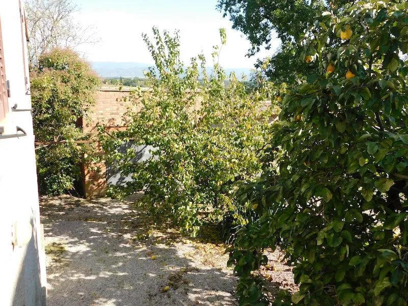 Casa indipendente in vendita a Castiglione del Lago - foto 8