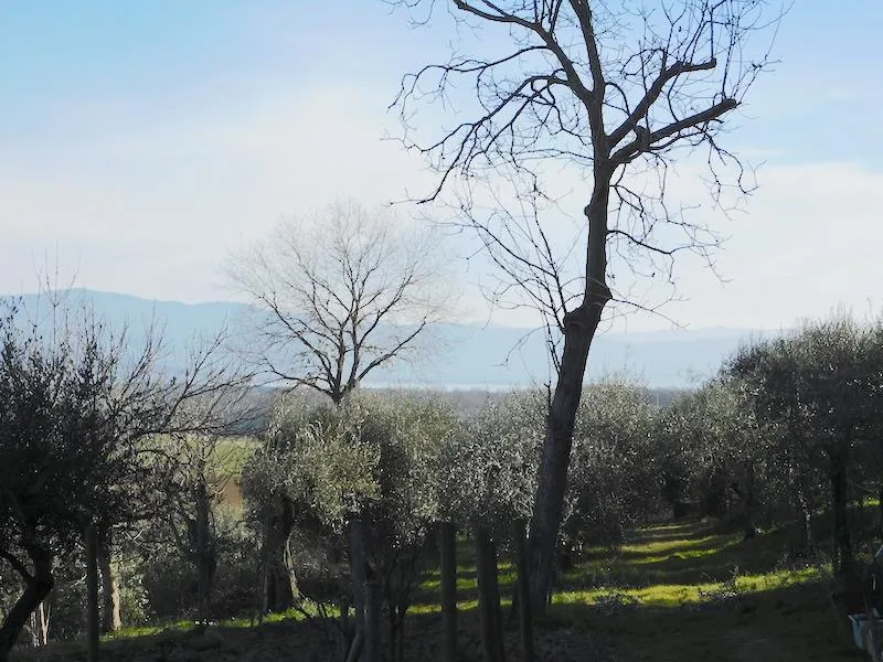 Rustico in vendita a Castiglione del Lago - foto 3