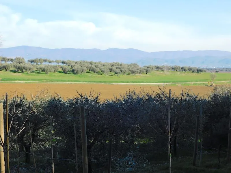 Rustico in vendita a Castiglione del Lago - foto 4