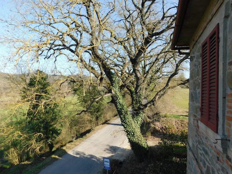 Casa indipendente in vendita a Città della Pieve - Moiano - foto 6