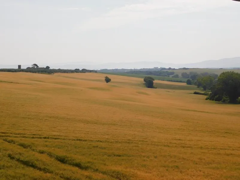 Appartamento in vendita a Castiglione del Lago - foto 4