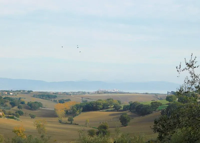 Casa indipendente in vendita a Castiglione del Lago - foto 4