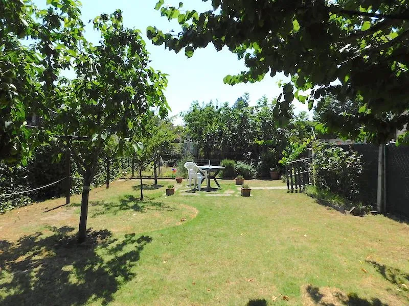 Appartamento in vendita a Castiglione del Lago - Macchie - foto 9
