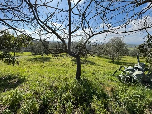 Casa indipendente in vendita a Castiglione del Lago - Pozzuolo - foto 10