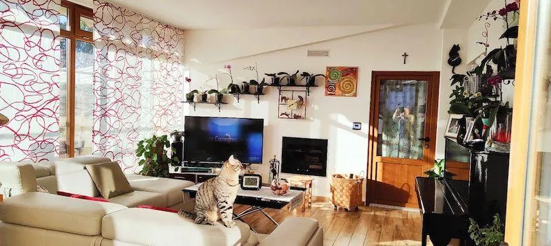Casa indipendente in vendita a Castiglione del Lago - foto 7