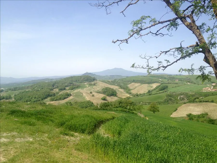 Rustico in vendita a Radicofani - foto 5