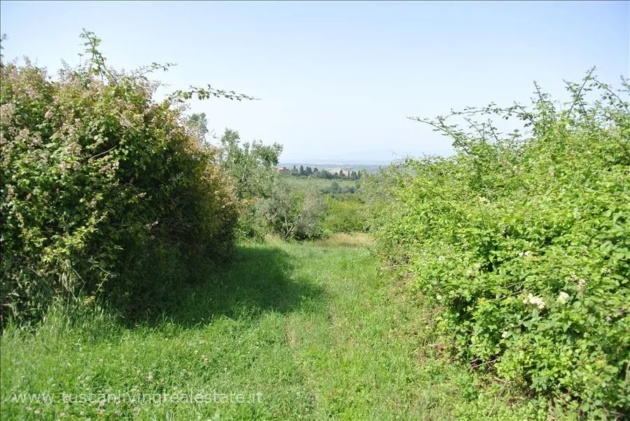Rustico in vendita a Sarteano - foto 3
