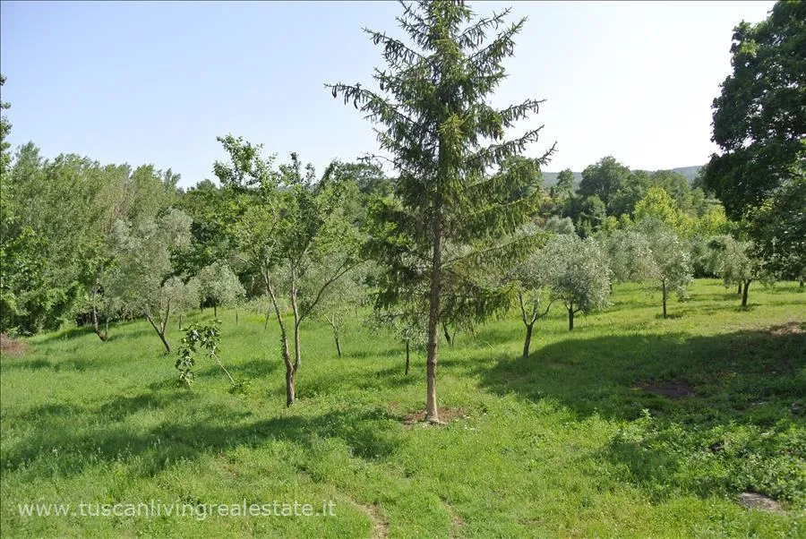 Rustico in vendita a Sarteano - foto 7