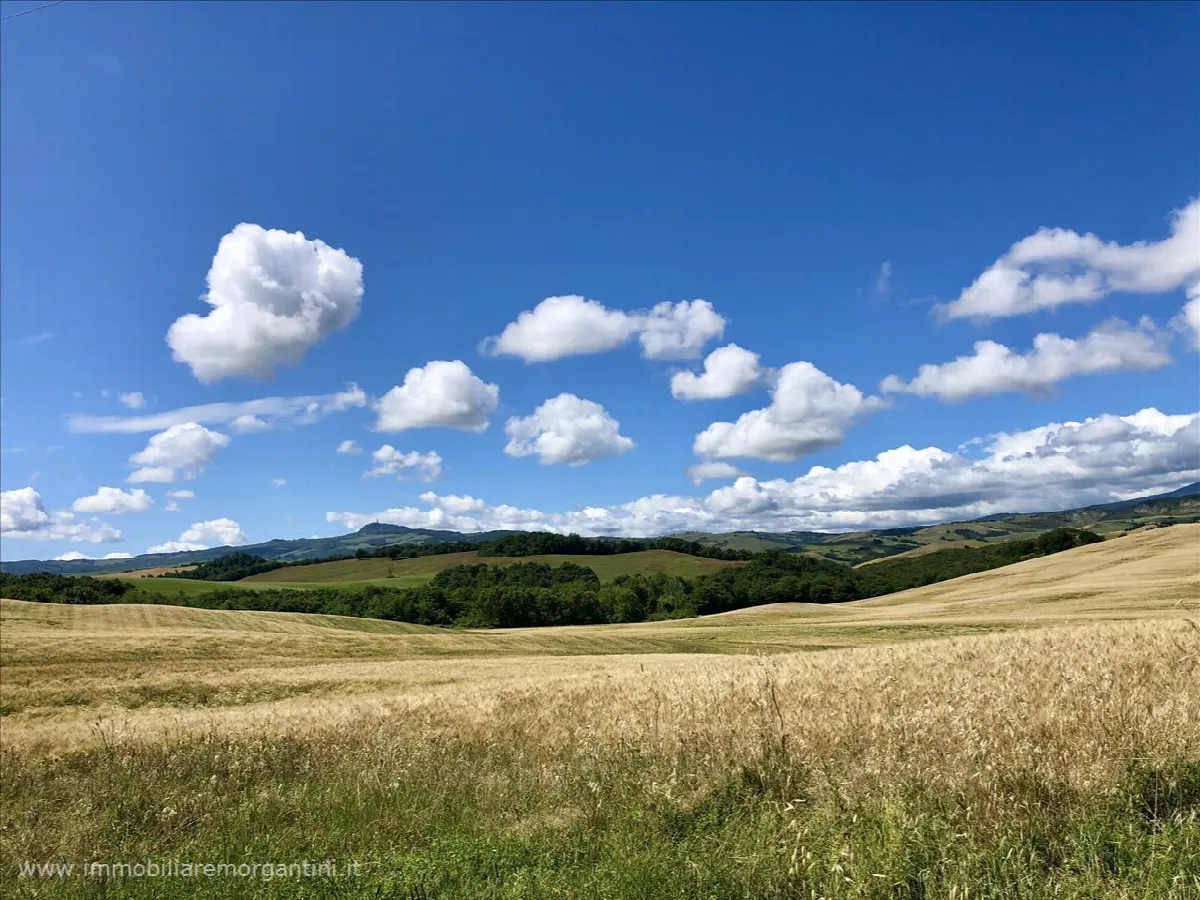 Rustico in vendita a Pienza - foto 4