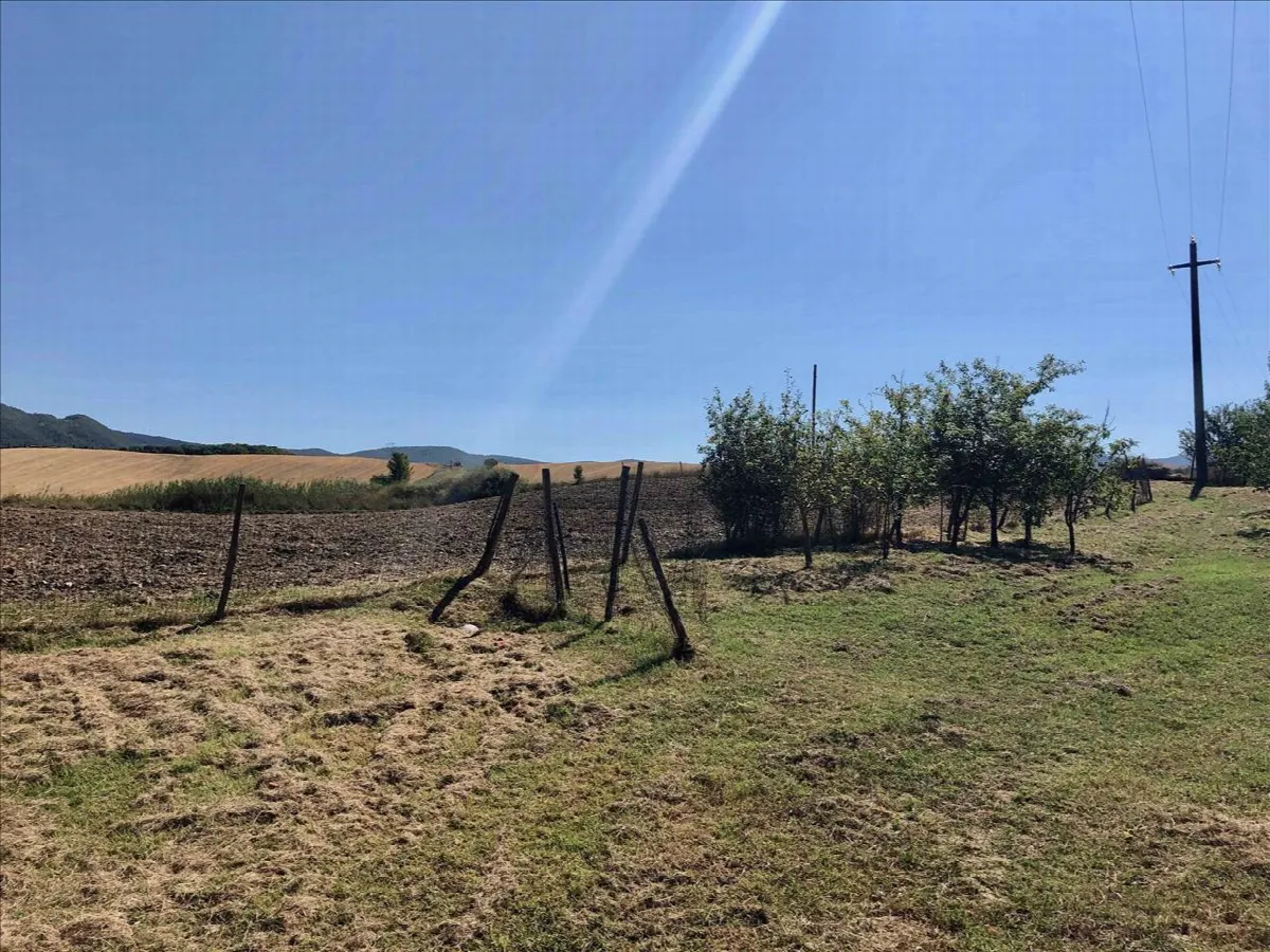 Rustico in vendita a Pienza - foto 8