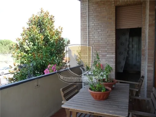 Appartamento in vendita a Monteroni d'Arbia - foto 2