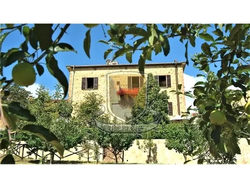 Villa in vendita a Murlo - VESCOVADO - foto 2