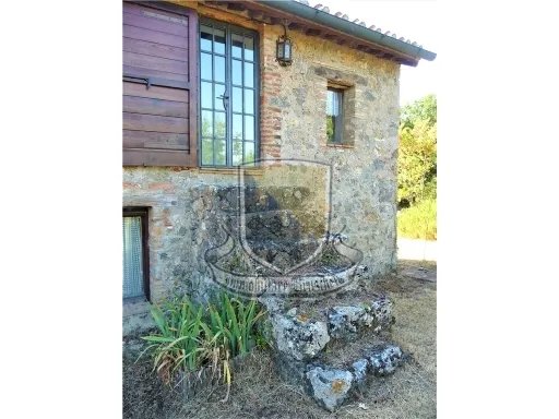Rustico in vendita a Chiusdino - CICIANO - foto 10