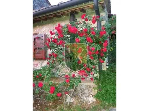 Rustico in vendita a Chiusdino - CICIANO - foto 3