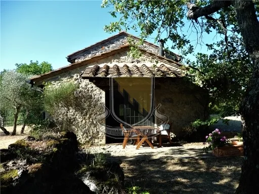 Rustico in vendita a Chiusdino - CICIANO - foto 5