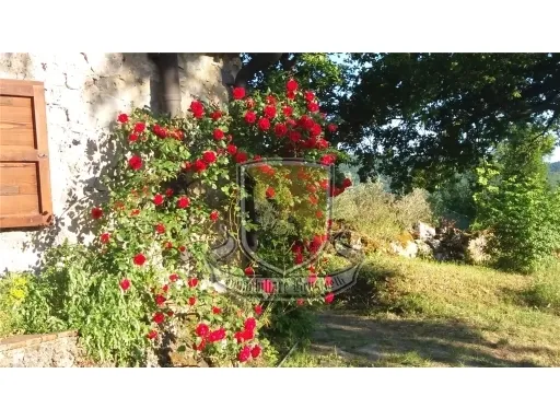 Rustico in vendita a Chiusdino - CICIANO - foto 6
