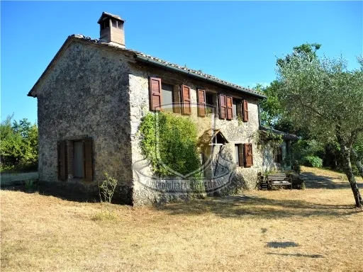 Rustico in vendita a Chiusdino - CICIANO - foto 7