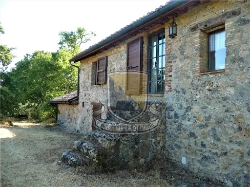 Rustico in vendita a Chiusdino - CICIANO - foto 9
