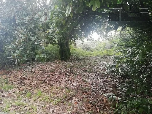 Rustico in vendita a Quarrata - VALENZATICO - foto 7