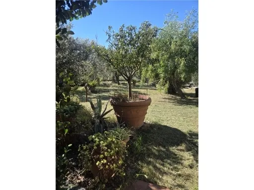 Villa in vendita a Vinci - TIGLIANO - foto 5