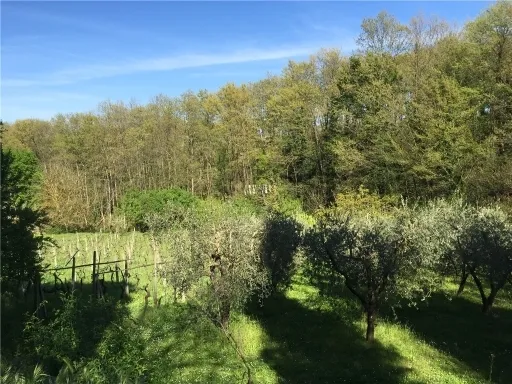 Rustico in vendita a Empoli - CORNIOLA - foto 3