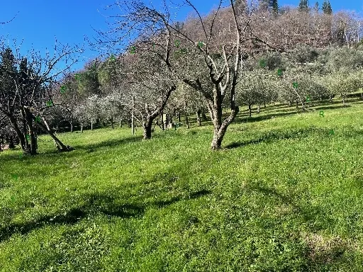 Appartamento in vendita a Vicchio - foto 5