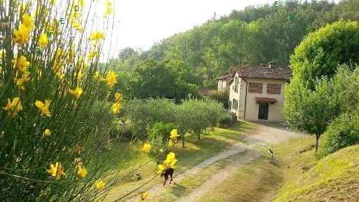 Rustico in vendita a Vicchio - AMPINANA - foto 3