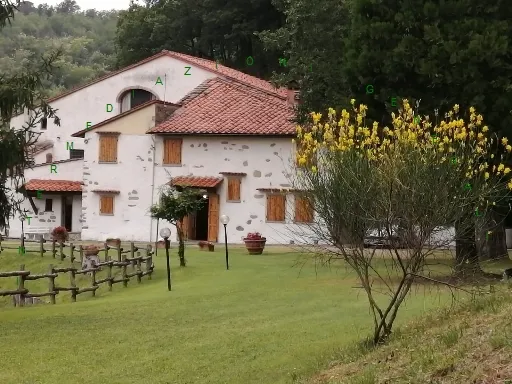 Rustico in vendita a Vicchio - SANTA MARIA A VEZZANO - foto 3