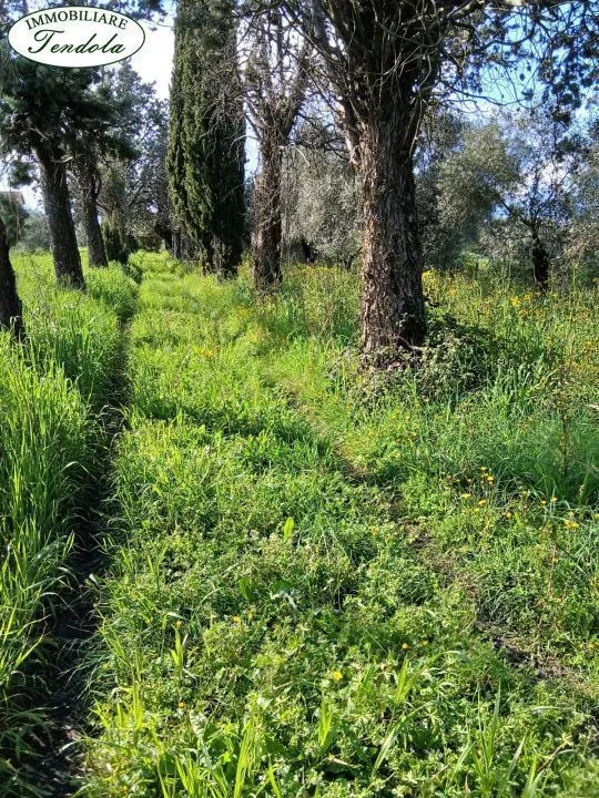 Rustico in vendita a Sarzana - San Lazzaro - foto 3
