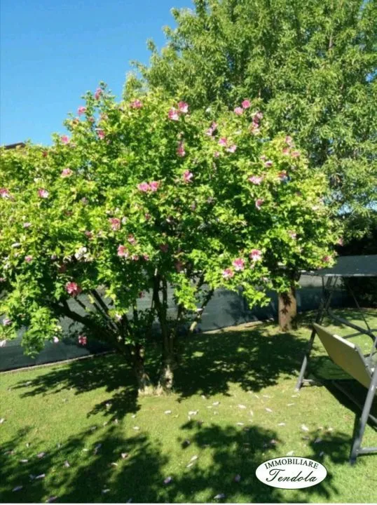 Rustico in vendita a Sarzana - foto 2