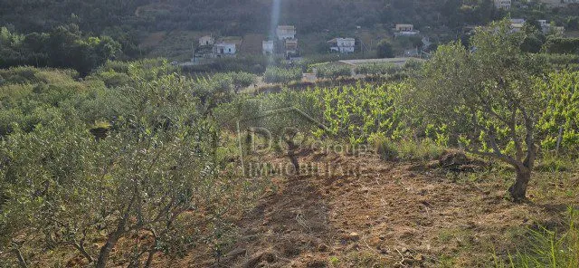 Rustico in vendita a Alcamo - foto 10
