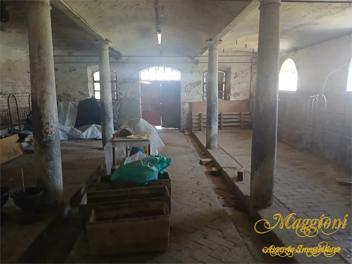 Villa in vendita a Parma - San Prospero - foto 2