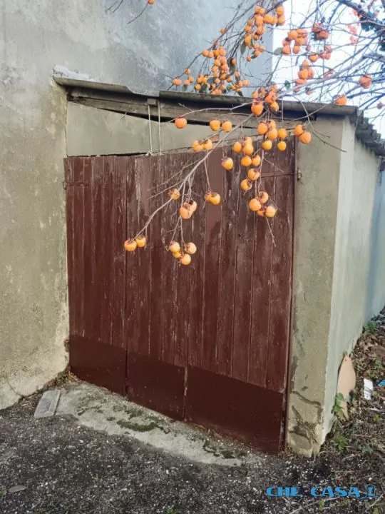 Casa indipendente in vendita a Tavoleto - foto 7