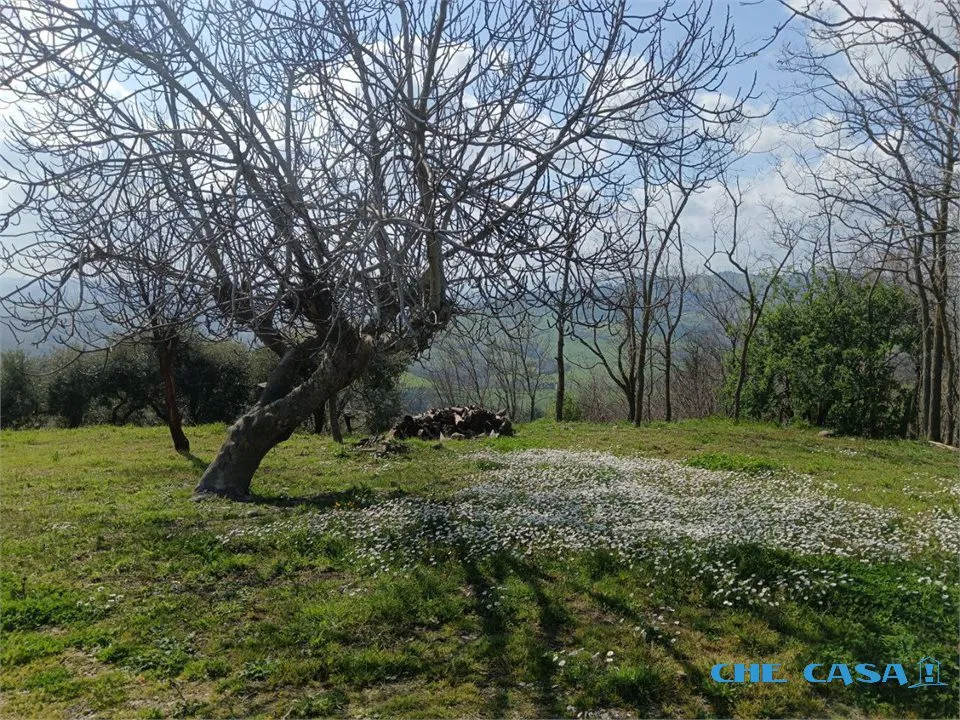 Casa indipendente in vendita a Tavoleto - foto 9