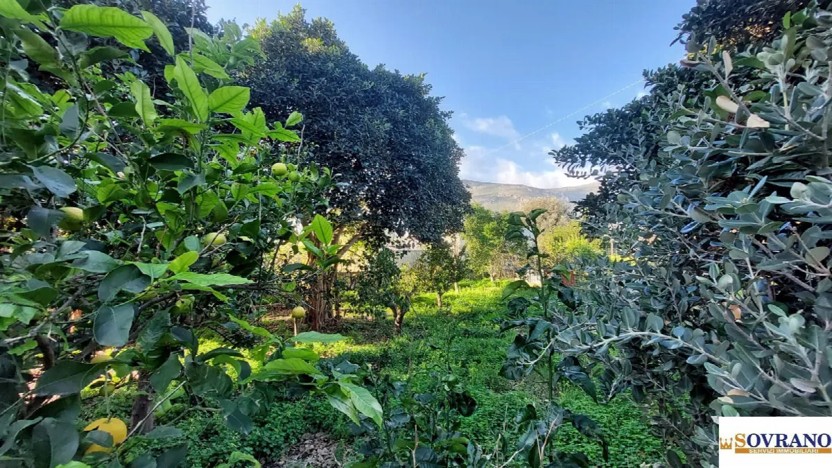 Villa in vendita a Carini - foto 6