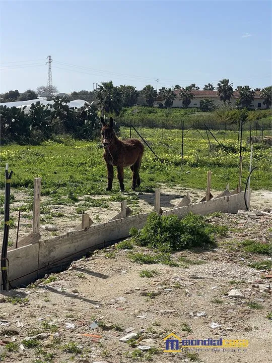 Rustico in vendita a Pachino - foto 9