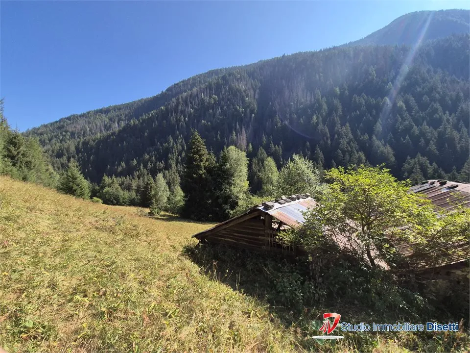 Rustico in vendita a Corteno Golgi - foto 5