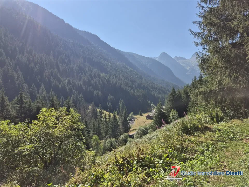 Rustico in vendita a Corteno Golgi - foto 6