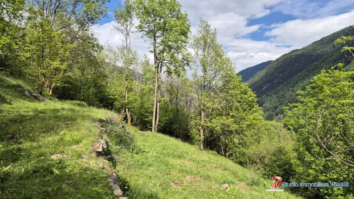 Rustico in vendita a Incudine - foto 4