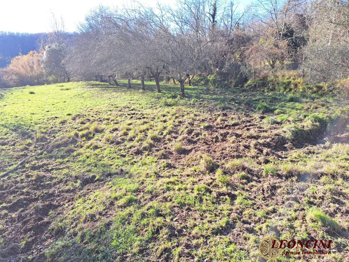 Rustico in vendita a Mulazzo - foto 8