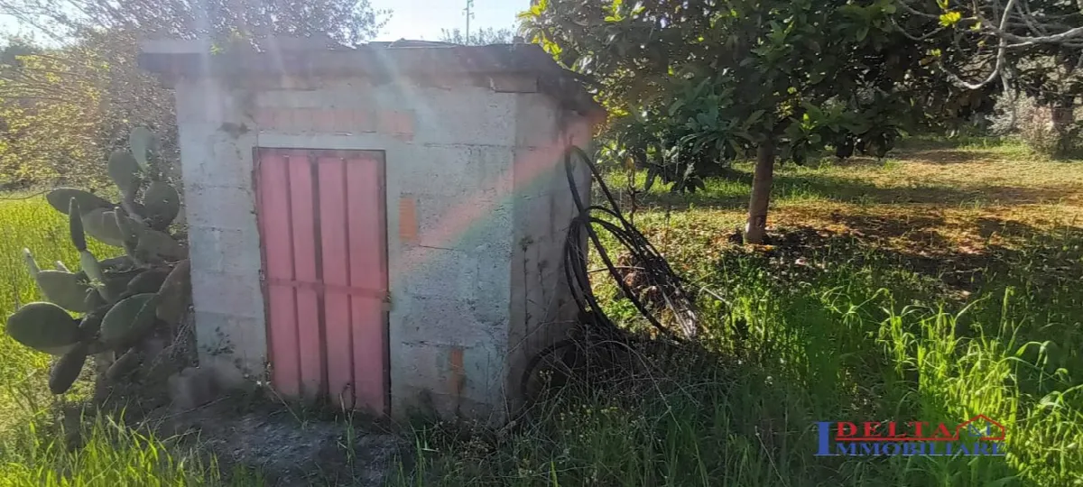 Rustico in vendita a Rosignano Marittimo - foto 8