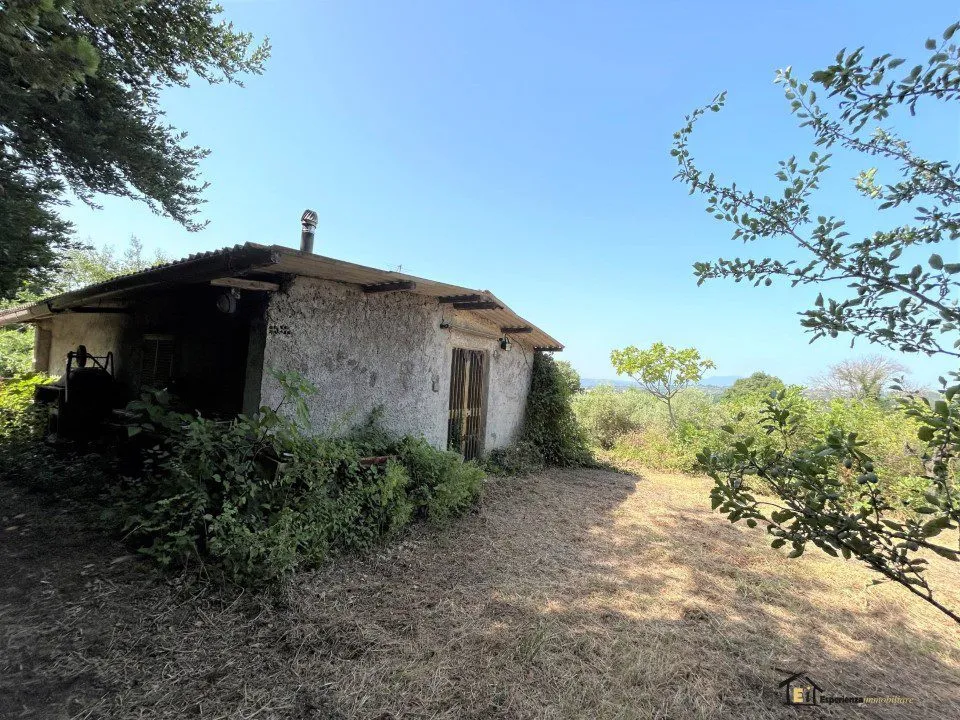 Villa in vendita a Poggio Catino - foto 1